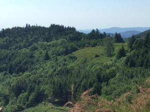 Charmant gîte au cœur du Pilat avec wifi et cheminée - FR-1-496-255