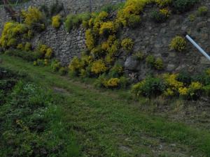 Charmant gîte au cœur du Pilat avec wifi et cheminée - FR-1-496-255