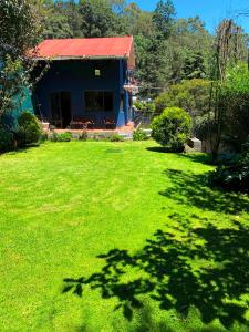 Alojamiento tipo Cabaña, rodeado de Bosque