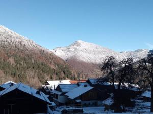 Appartement spacieux 42m², 1 chambre, balcon, centre station St Jean dAulps - FR-1-573-131