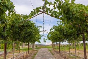 Hotel Vinícola Parvada by Lumina