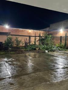 Departamento los pinos 1