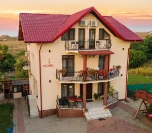 Pensiunea Felixanda - Hidişelul-de-Jos