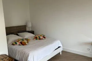 Charmant Appart - Vue Imprenable sur le Lac Léman - Larringes