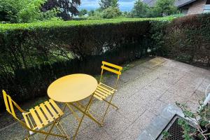 Appartements Charmant Appart - Vue Imprenable sur le Lac Leman : photos des chambres