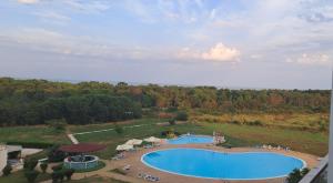 Garsoniera 23 august