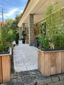 Villas Villa vue mer a 300m du centre ville de Porto-Vecchio : photos des chambres