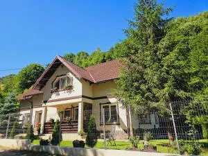 Casa Lizuca - Drumu Carului