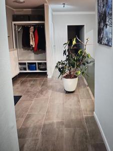 Ferienwohnung Trier Ruwer Mosel