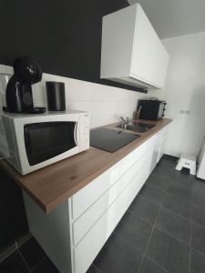 Appartements Capstay - Brest - Lambezellec- 7 minutes des plages et du port : photos des chambres