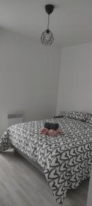 Appartements Capstay - Brest - Lambezellec- 7 minutes des plages et du port : photos des chambres