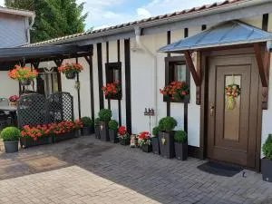 Ferienhaus Müller - Benneckenstein