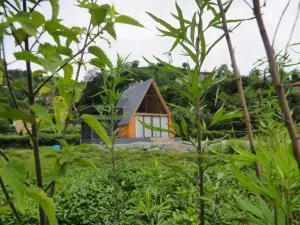 Dere Bungalov Suit - Tuğlalı