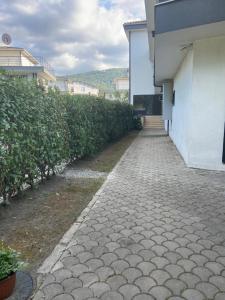 Gölyolu Daire Yeşil