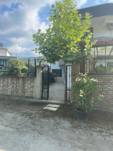 Gölyolu Daire Yeşil