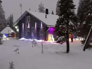 Ruka VIP, Premium Villa