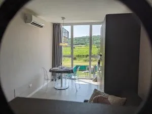 House with vineyard view, for 3 guests, with private covered parking space - 内格拉尔