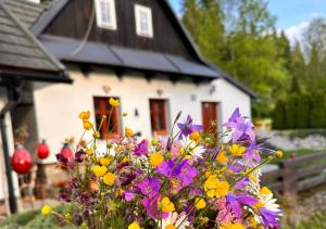 Rozpravkovy Domcek Zvoncek