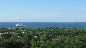 Tallinn under your eyes