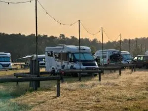 Stellplatz am Spargelhof Klaistow - Fichtenwalde