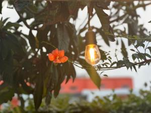 Peraia Luxury Studio