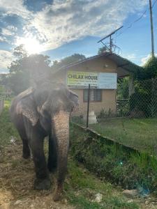 Chilax House and Retreat Center