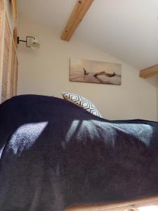 Maisons de vacances La Petite Vigneronne - Clim - Calme : photos des chambres