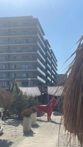 Velvet 43 apartament pe plaja