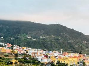 The Zarzamora Canary Little Home