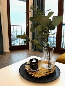 2-pokojowy apartament z jacuzzi w centrum Top widok!