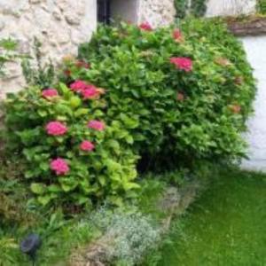 Maisons de vacances Le cottage a 40 min de Paris : photos des chambres