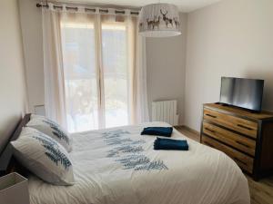 Appartements Appartement Cocooning-sauna-jacuzzi : photos des chambres