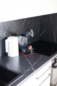 Palanga Vanagupe 60 APT & Balcony