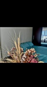 Accommodation Recovery Hospital