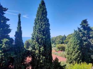 Appartements Villa Azur Cap d'Ail : photos des chambres