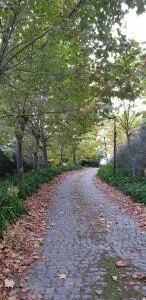 Quinta da Touça - Ermida