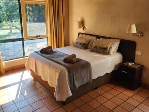 Ekuthuleni River Front Chalets Hoedspruit