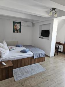 Pensiunea Transilvania