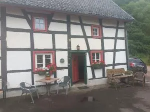 Fereien Wohnung Olef - غيموند