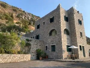 Vatoulia House - Neon Oitilon