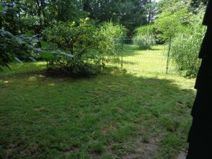 Ferienwohnung mit Hundebetreuung