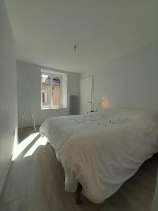 Maisons de vacances Baccarat Tout Schuss ! : photos des chambres