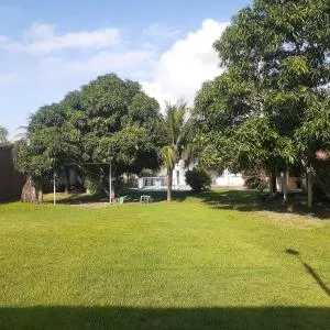 chacara ouro verde - Mata