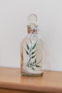 Boris Garden Comfort Suite