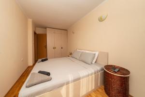 Boris Garden Comfort Suite