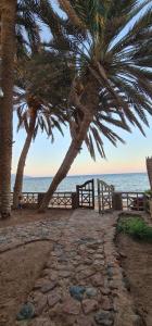 Dahab house sea