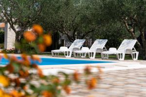 Apartment in Biograd na Moru 8184 