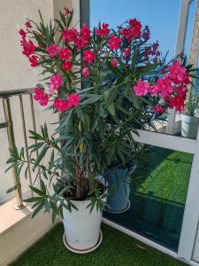 KABAKUM apartments Sea Romantica