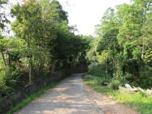 Hantana Forest Reserve Inn