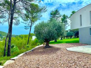 Villas Superbe et spacieuse propriete avec piscine et spa : photos des chambres
